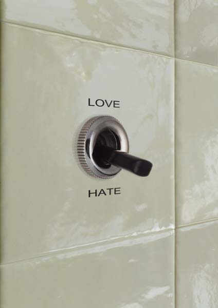 toggle switch for love or hate embedded in the wall