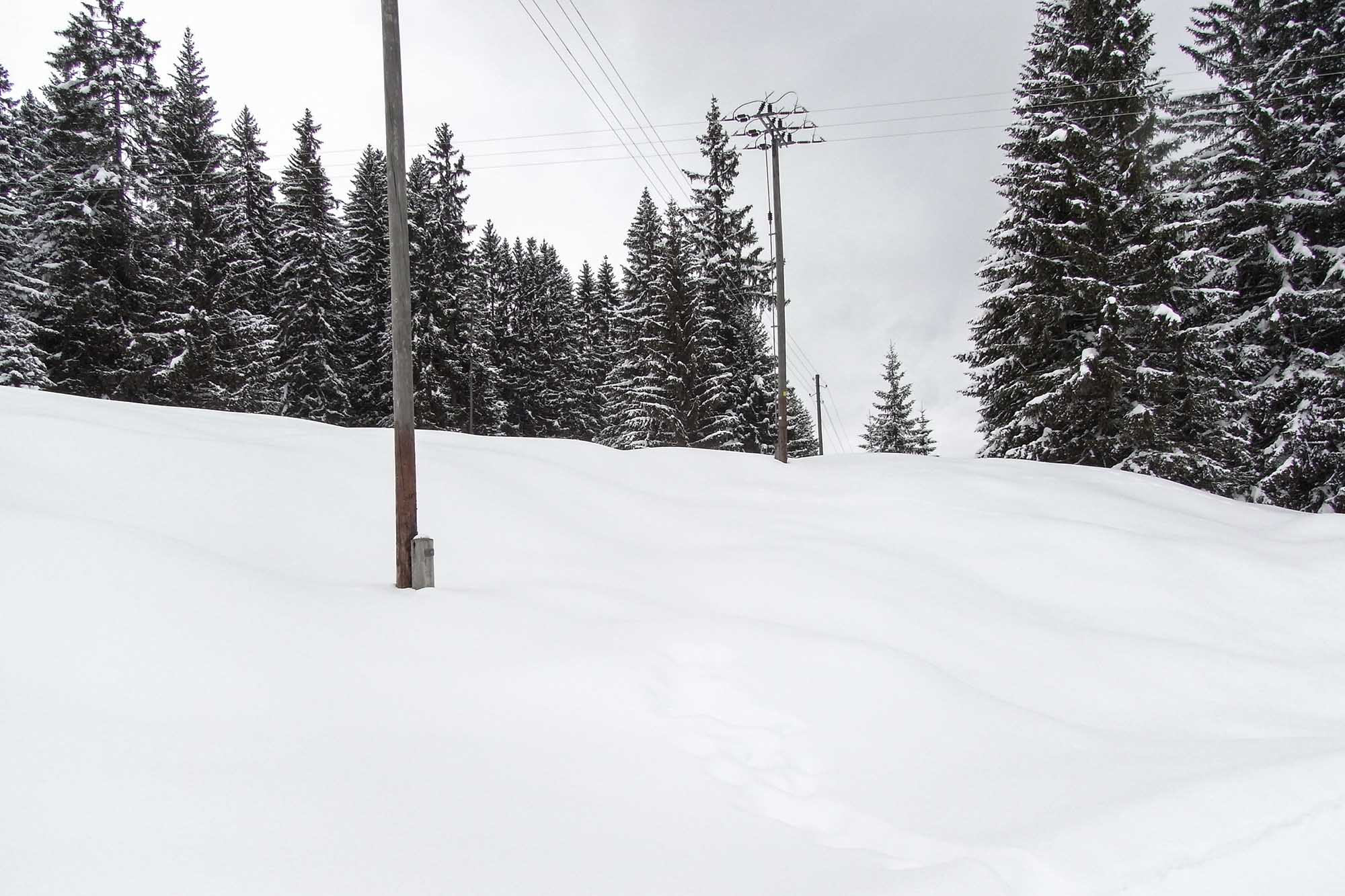 winter landscape shaped by power poles