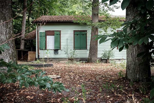 Shack in forest